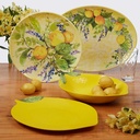 lemon-zest-12-piece-melamine-dinnerware--6.jpg