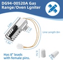 dg94-00520a-gas-oven-igniter-replacement-3.jpg