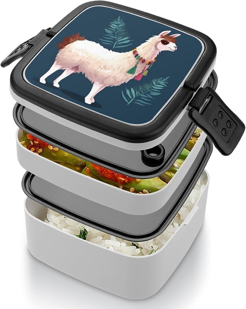 bento-lunch-box-for-women-lunch-containe-4.jpg