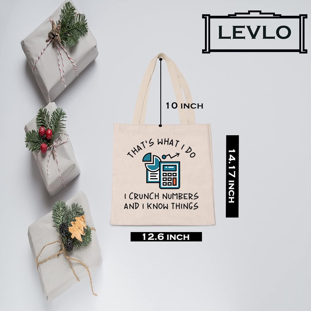 levlo-funny-accountant-gift-thats-what-i-2.jpg
