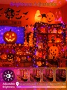 2-pack-66ft-200-led-extendable-halloween-5.jpg