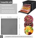 6-pack-silicone-dehydrator-trays-14-x-14-3.jpg