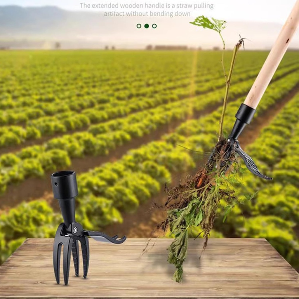 stand-up-weed-puller-an-upright-weeding--6.jpg