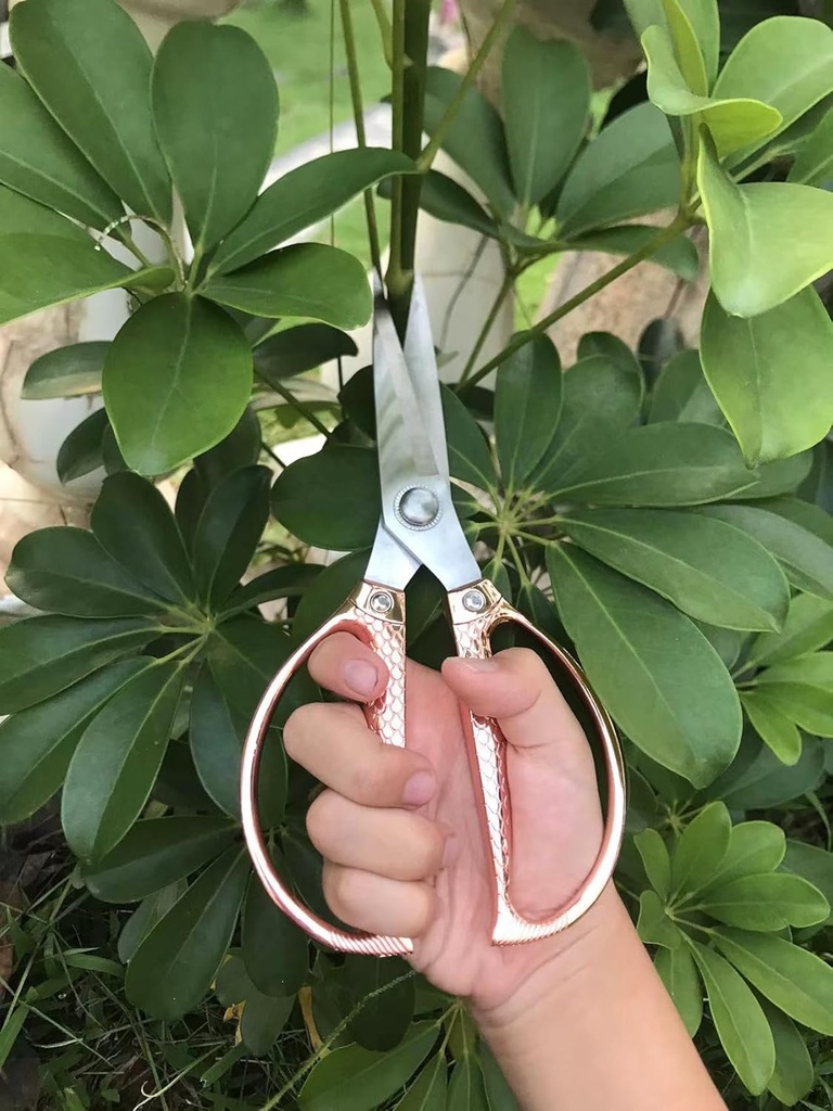 all-purpose-scissors-heavy-duty---for-ki-2.jpg