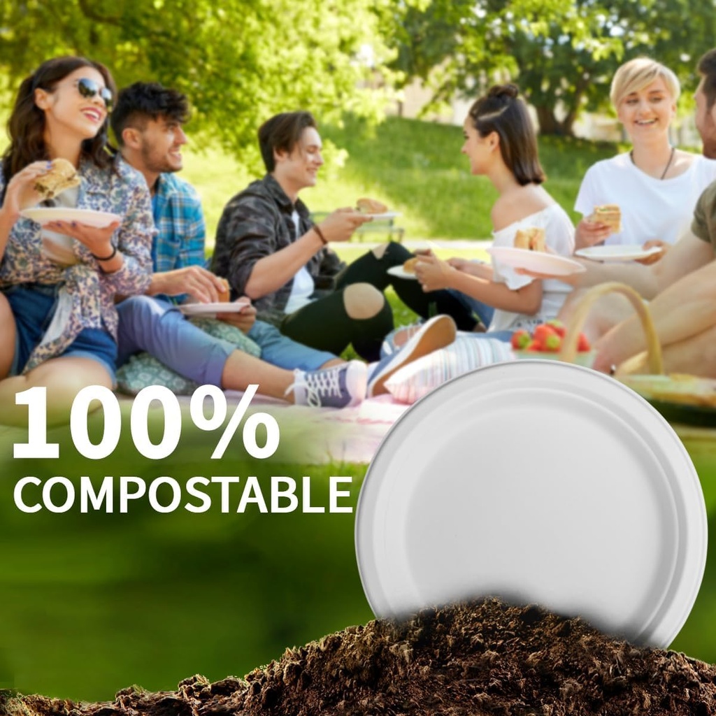 10-inch-compostable-paper-plateswhite-15-5.jpg