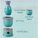 japanese-ceramic-sake-set-with-warmer-hi-6.jpg