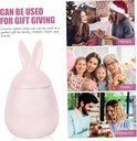 rabbit-airtight-jar-cookie-jar-tea-kettl-6.jpg