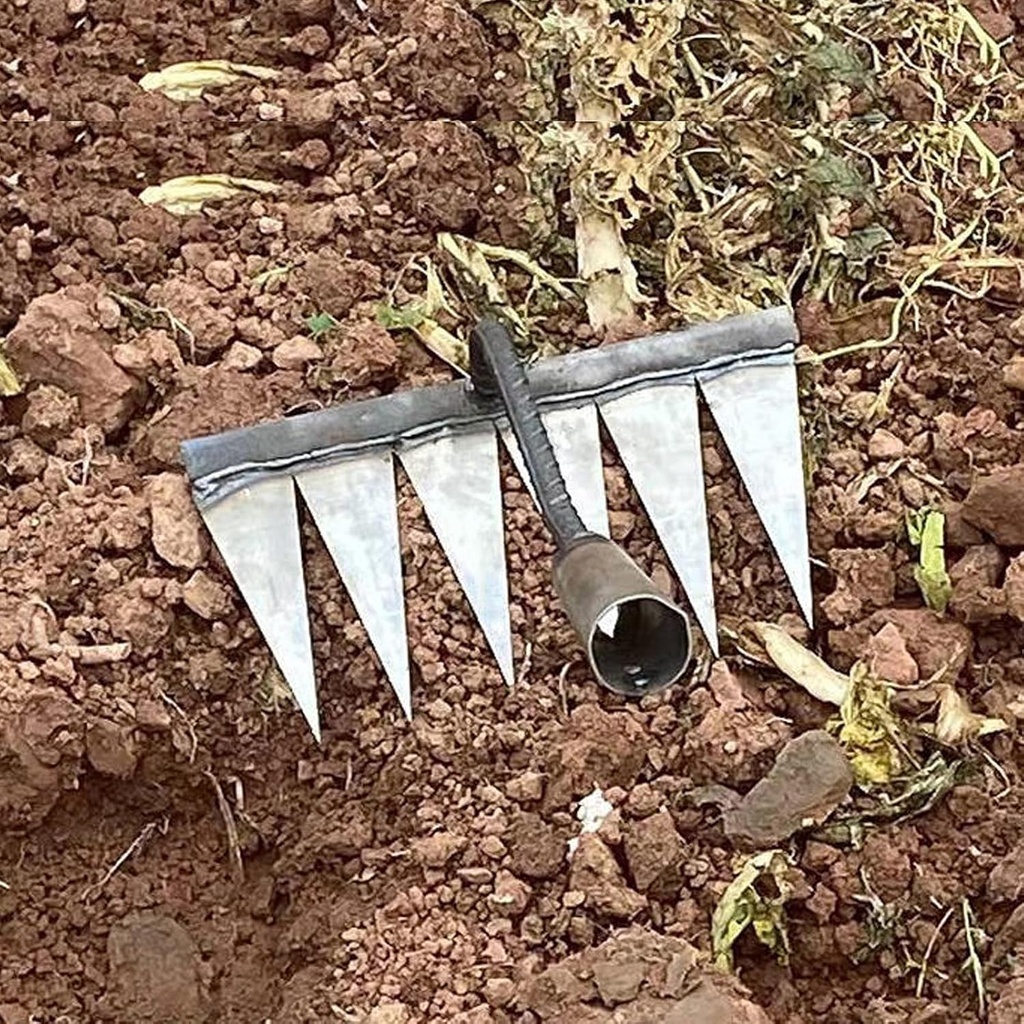 iron-rake4-tines-and-6-tines-weeding-rak-5.jpg