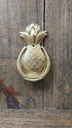 tropical-welcome-bronze-pineapple-door-k-2.jpg