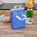 restaurantware-insulated-take-away-bags--3.jpg