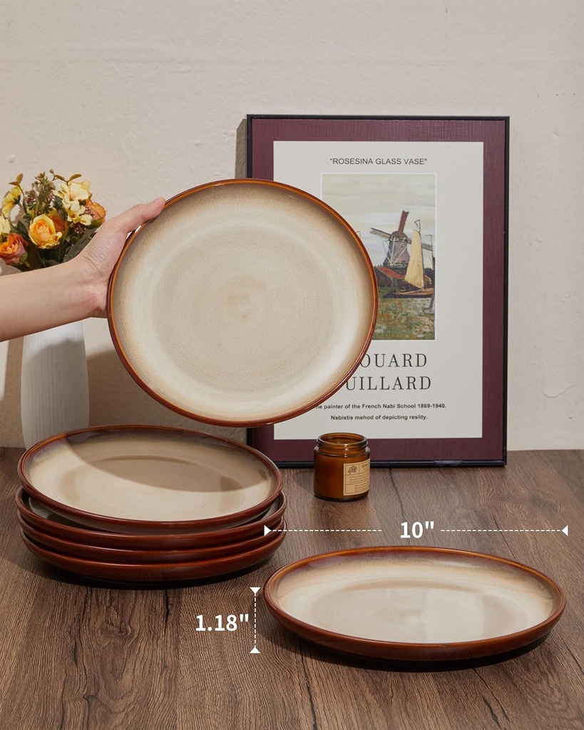 10-inch-dinner-plates-set-of-6-stoneware-2.jpg