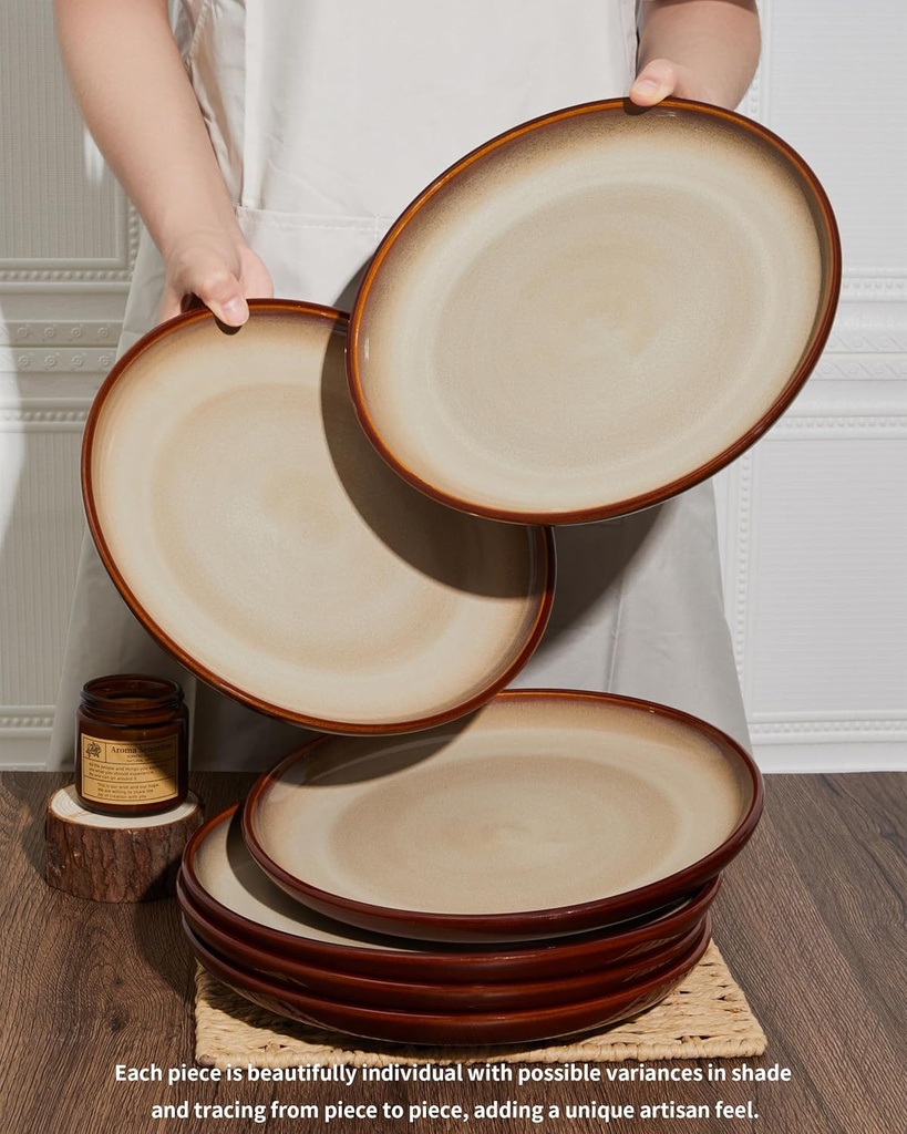 10-inch-dinner-plates-set-of-6-stoneware-5.jpg