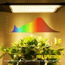 grow-lights-for-indoor-plants-10-heads-5-5.jpg