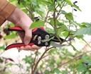 tabor-tools-s851a-bypass-hand-pruner-wit-5.jpg