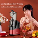 slow-juicer-machinefull-automatic-large--3.jpg