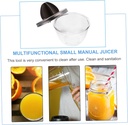 manual-hand-squeezer-inspired-flat-lemon-5.jpg