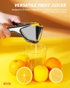 lemon-squeezer-stainless-steel-lemon-jui-2.jpg