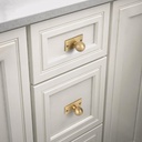 solid-brass-cabinet-knob-with-backplate--4.jpg