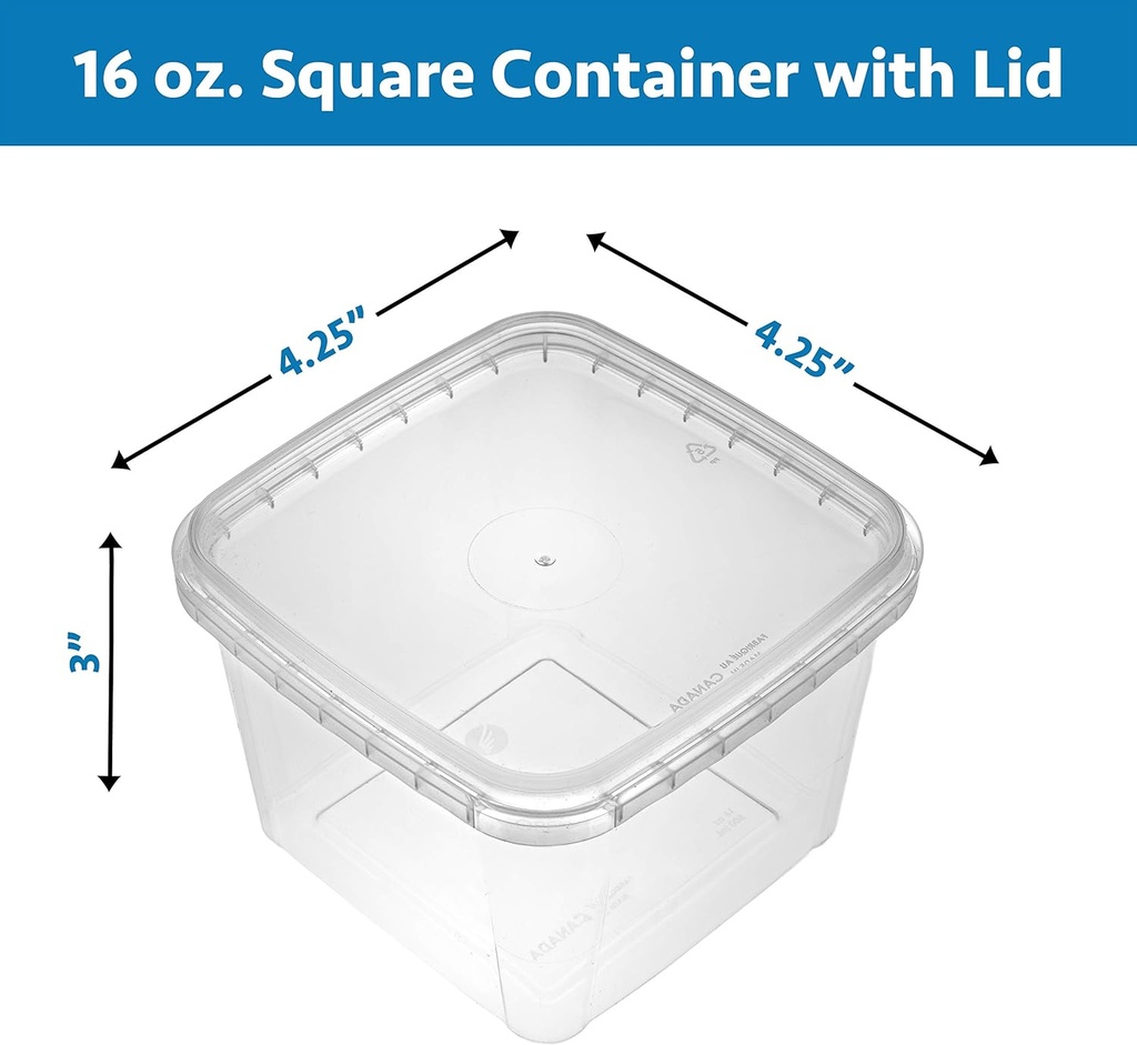 nyhi-40-pack-square-clear-deli-container-4.jpg