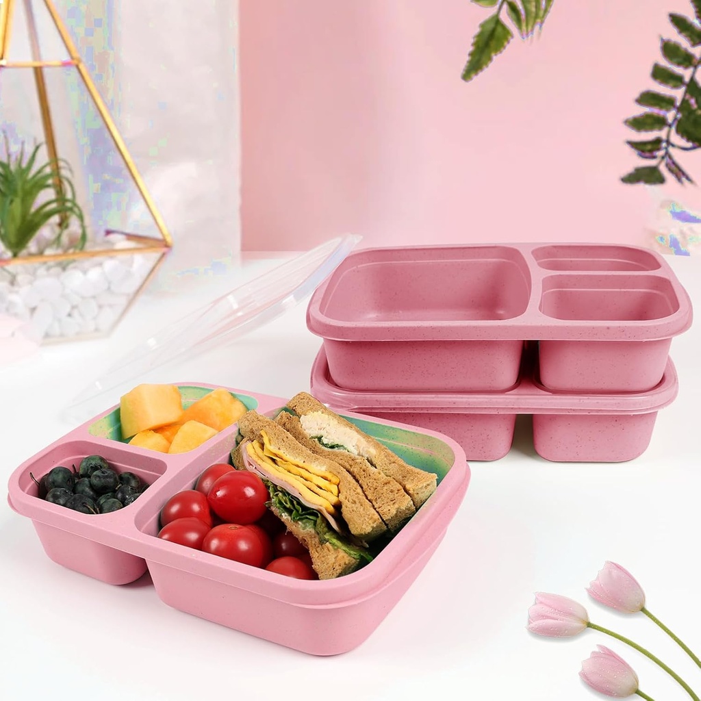 bento-box-3-snack-containers-with-3-comp-3.jpg