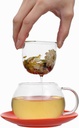 mushroom-cup-glass-tea-cup-with-lid-tray-3.jpg