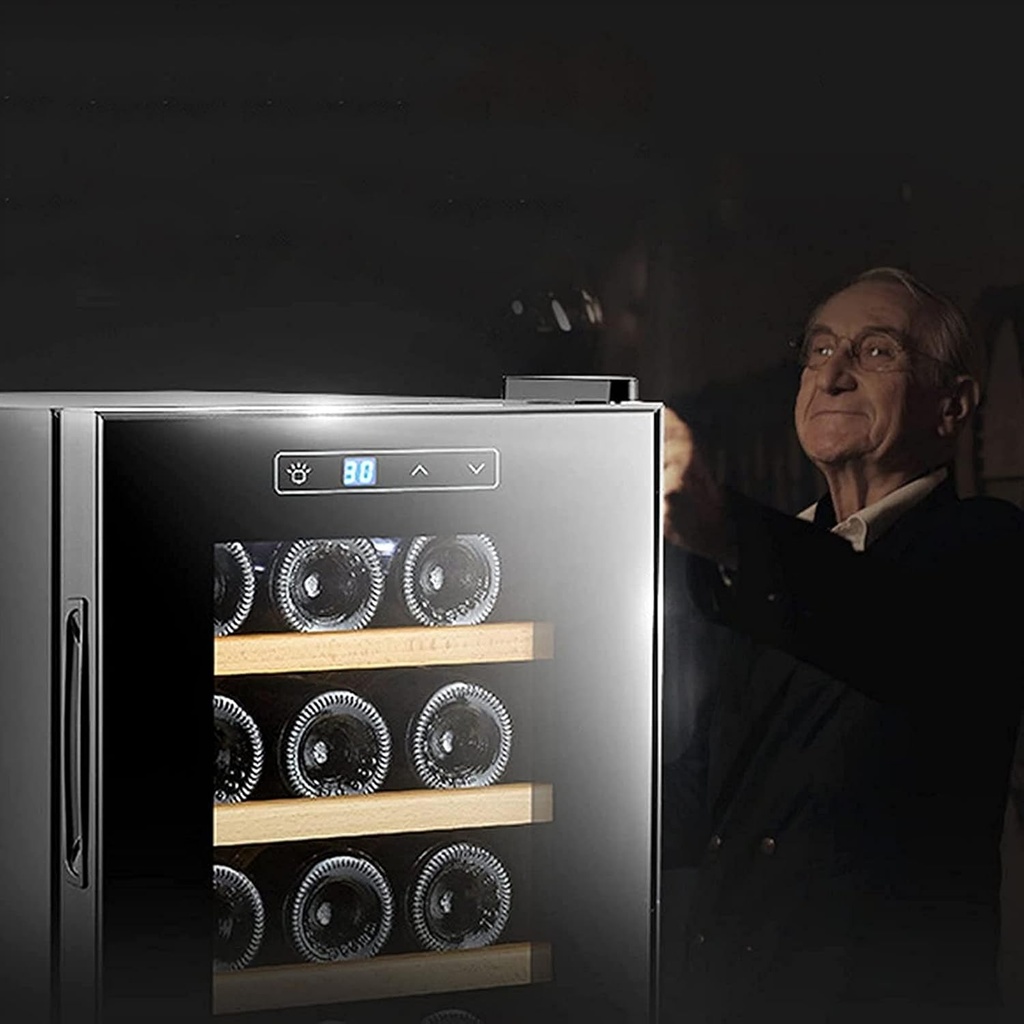 10-bottle-compressor-wine-cooler-refrige-2.jpg