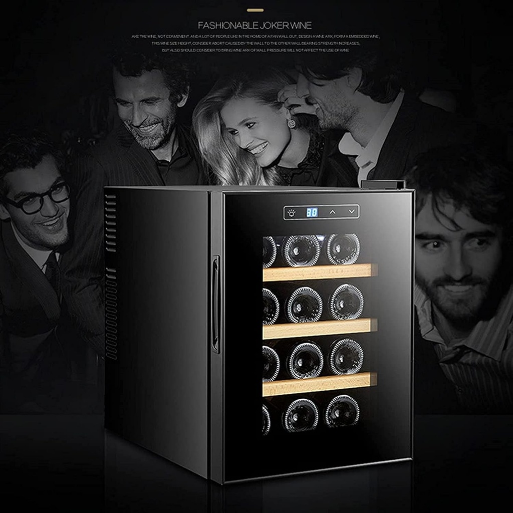 10-bottle-compressor-wine-cooler-refrige-3.jpg
