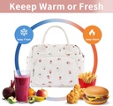 lunch-bag-women-lunch-box-for-women-adul-4.jpg