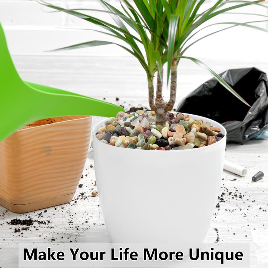 2lb-succulent-and-cactus-colorful-pebble-2.jpg
