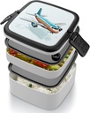 cartoon-airplane-bento-box-for-adults-do-4.jpg