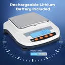 bonvoisin-lab-scale-rechargeable-electro-4.jpg