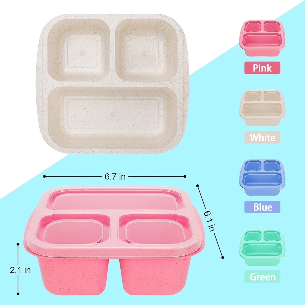 lunchable-container-for-kids-and-adults--2.jpg