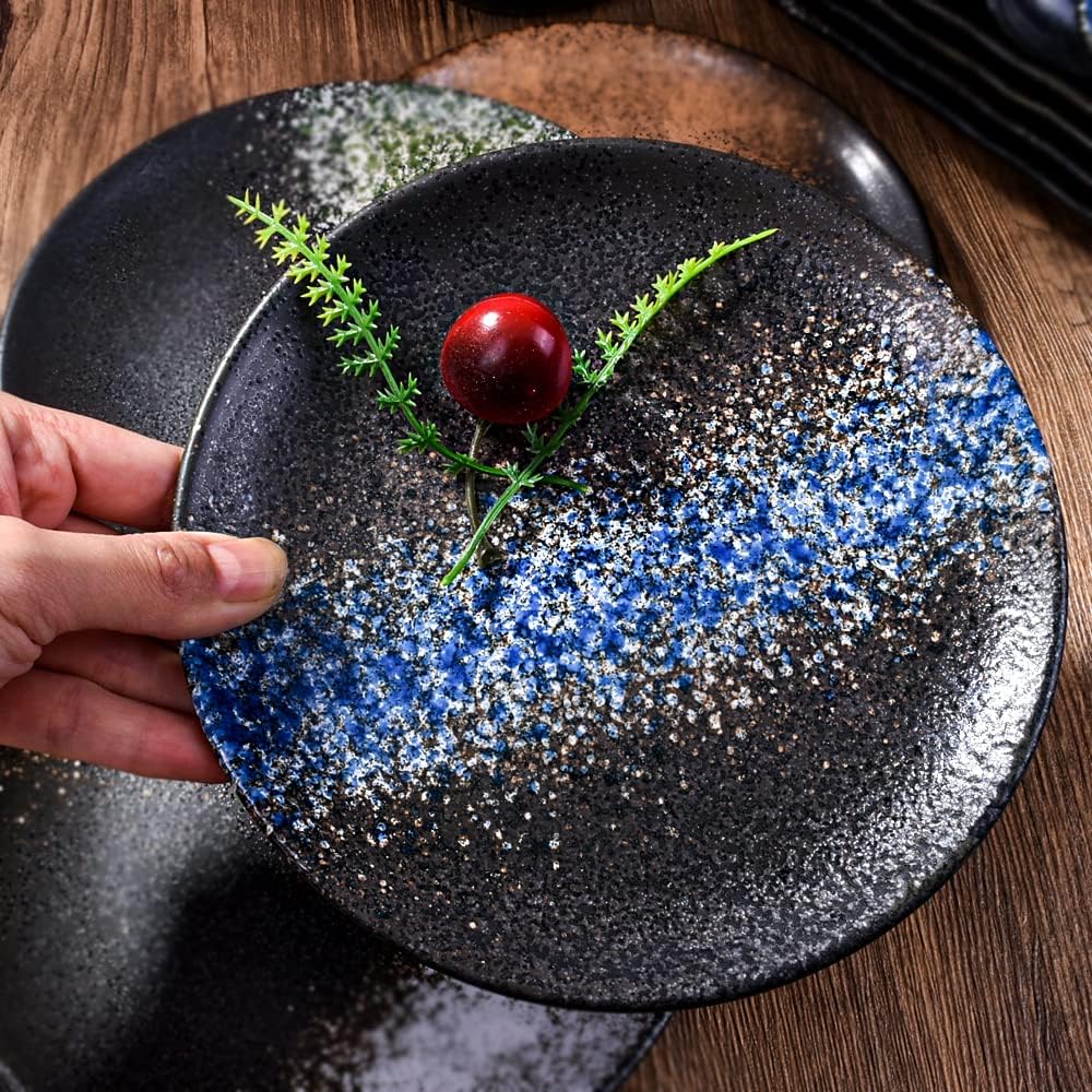 japanese-dinner-plates-set-of-4-ceramic--5.jpg
