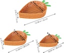 luxshiny-3pcs-carrot-shaped-fruit-basket-3.jpg
