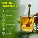 40-premium-soursop-graviola-leaf-tea-bag-3.jpg