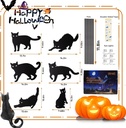 6-pack-halloween-led-glowing-eyes-black--5.jpg