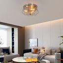 flush-mount-ceiling-light-brushed-nickel-5.jpg