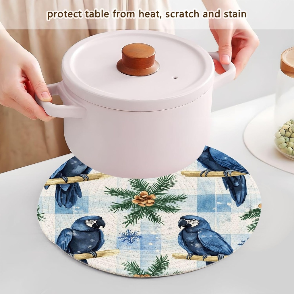 3-pcs-trivet-pot-holder-for-hot-dishes-1-5.jpg