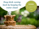 bird-bath-fountain-maintenance---8-ounce-3.jpg