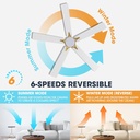 wingbo-60-smart-ceiling-fan-with-lights--3.jpg