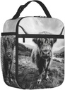 highland-cow-lunch-box-for-kids-aldults--2.jpg