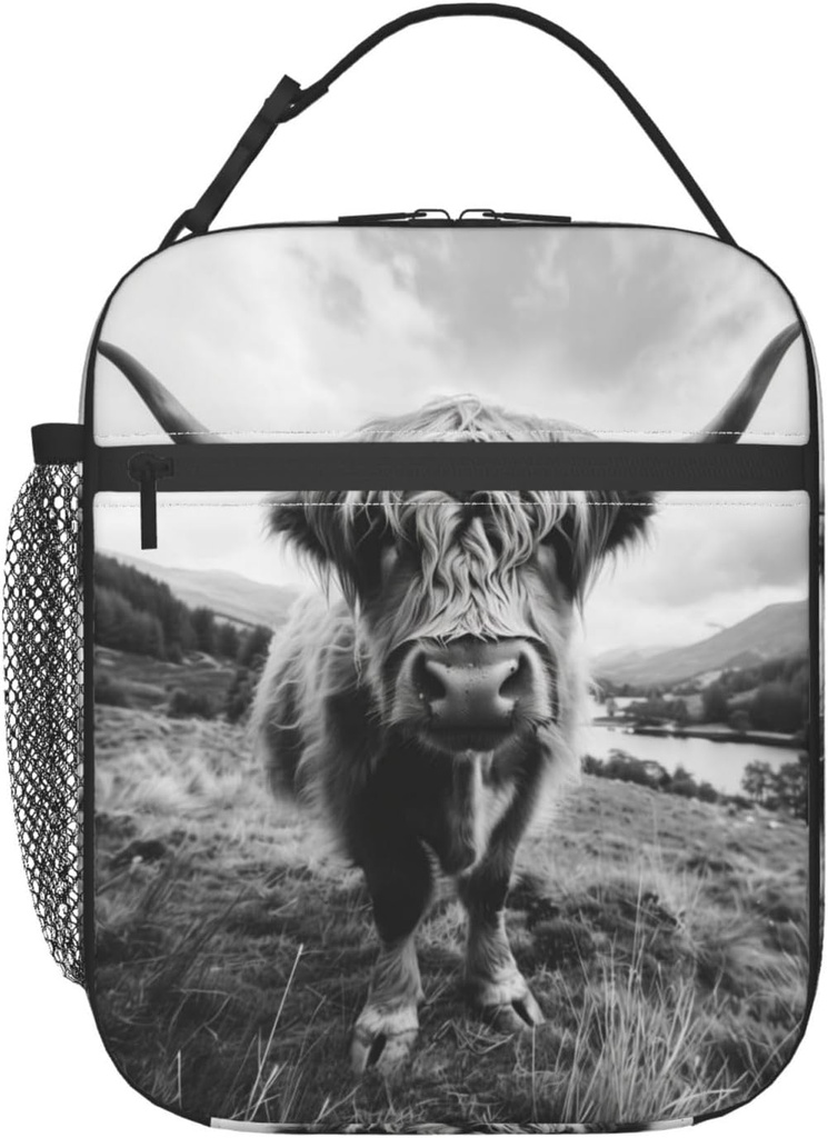 highland-cow-lunch-box-for-kids-aldults--3.jpg