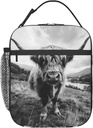 highland-cow-lunch-box-for-kids-aldults--3.jpg