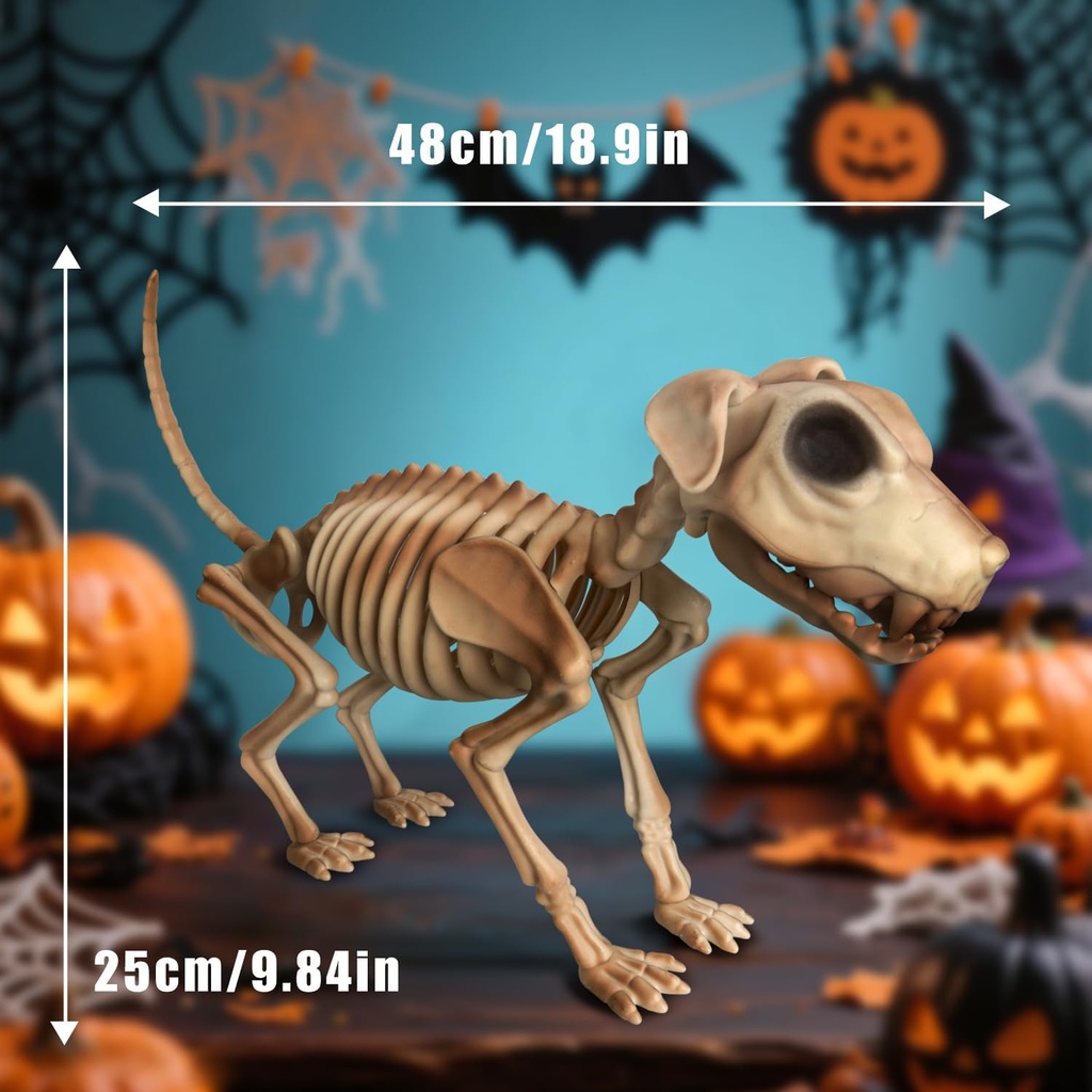 larpgears-lifesize-full-body-dog-skeleto-2.jpg