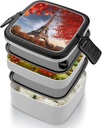 bento-box-for-adult-eiffel-tower-and-red-5.jpg