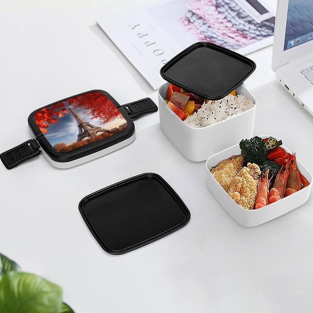 bento-box-for-adult-eiffel-tower-and-red-6.jpg