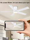 52-inch-white-flush-mount-ceiling-fan-wi-3.jpg