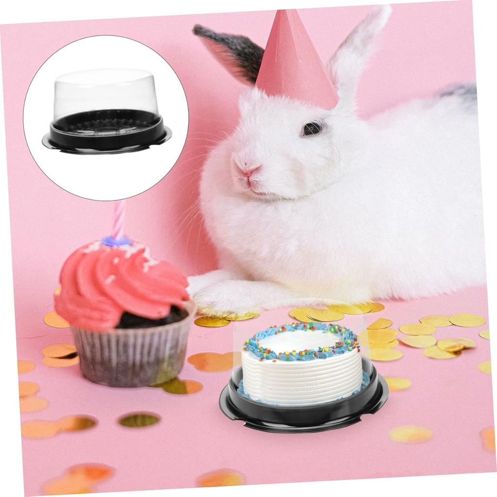 plastic-cake-containers-4-inches-cake-sl-4.jpg