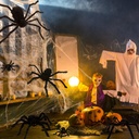 colovis-halloween-spider-decorations-10--5.jpg