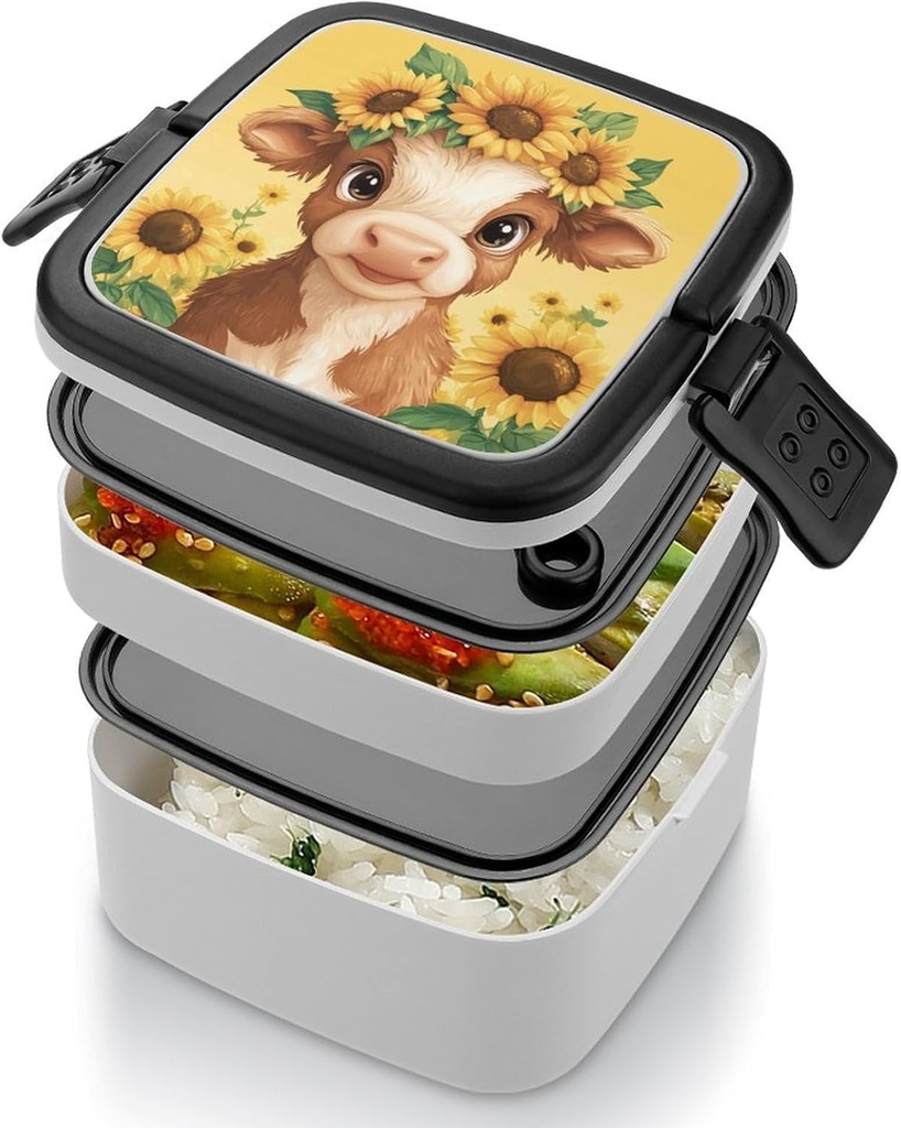 double-layered-bento-box-lunch-box-for-m-4.jpg